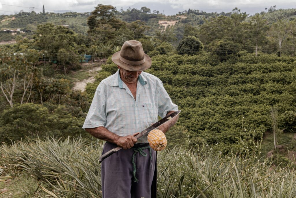 susan-duran-02ZGPUHTTto-unsplash-1024x683 El cacao venezolano me robó el corazón.